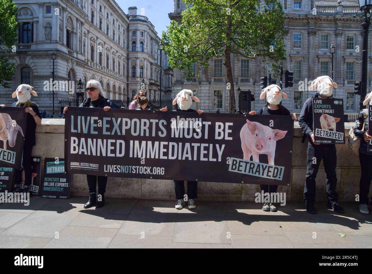 London, UK. 2nd June 2023. Animal rights activists wearing sheep masks