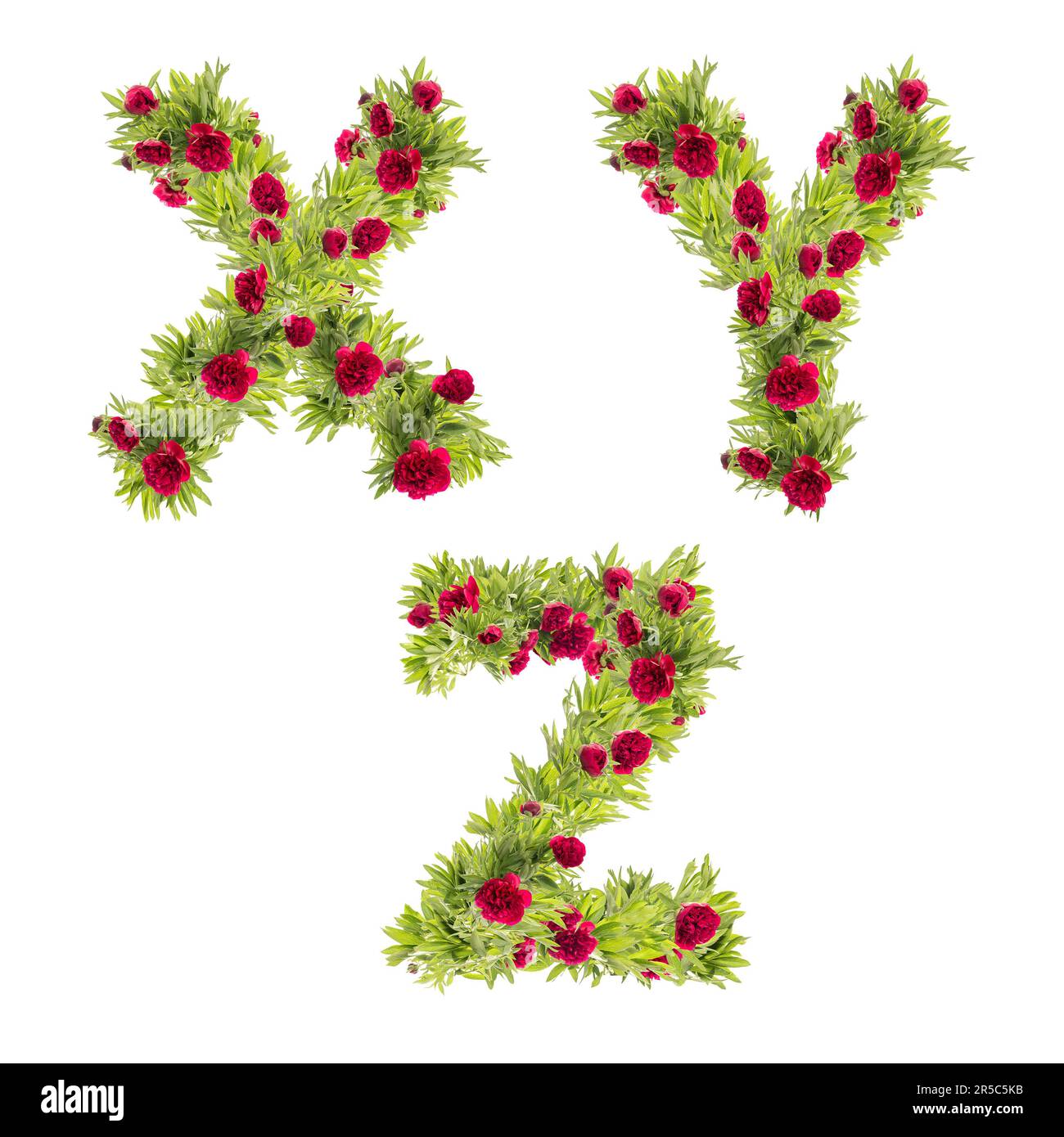 3D illustration of Peony flowers capital letter alphabet - letters X-Z Stock Photo