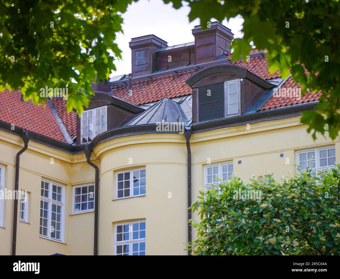 Behind Building Building behind tree hi-res stock photography and images - Alamy