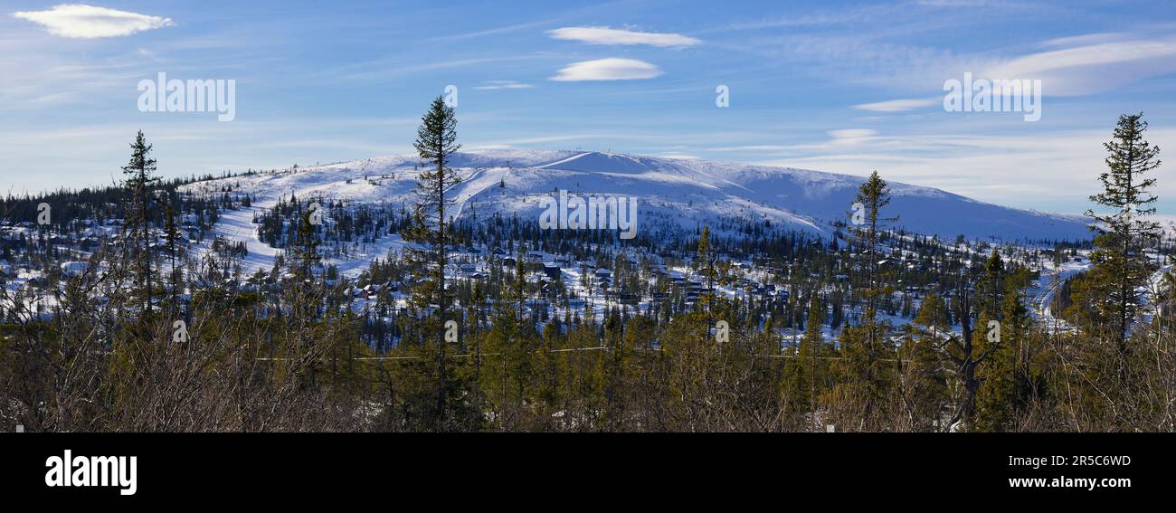 Winter sunset over forest hi-res stock photography and images - Alamy