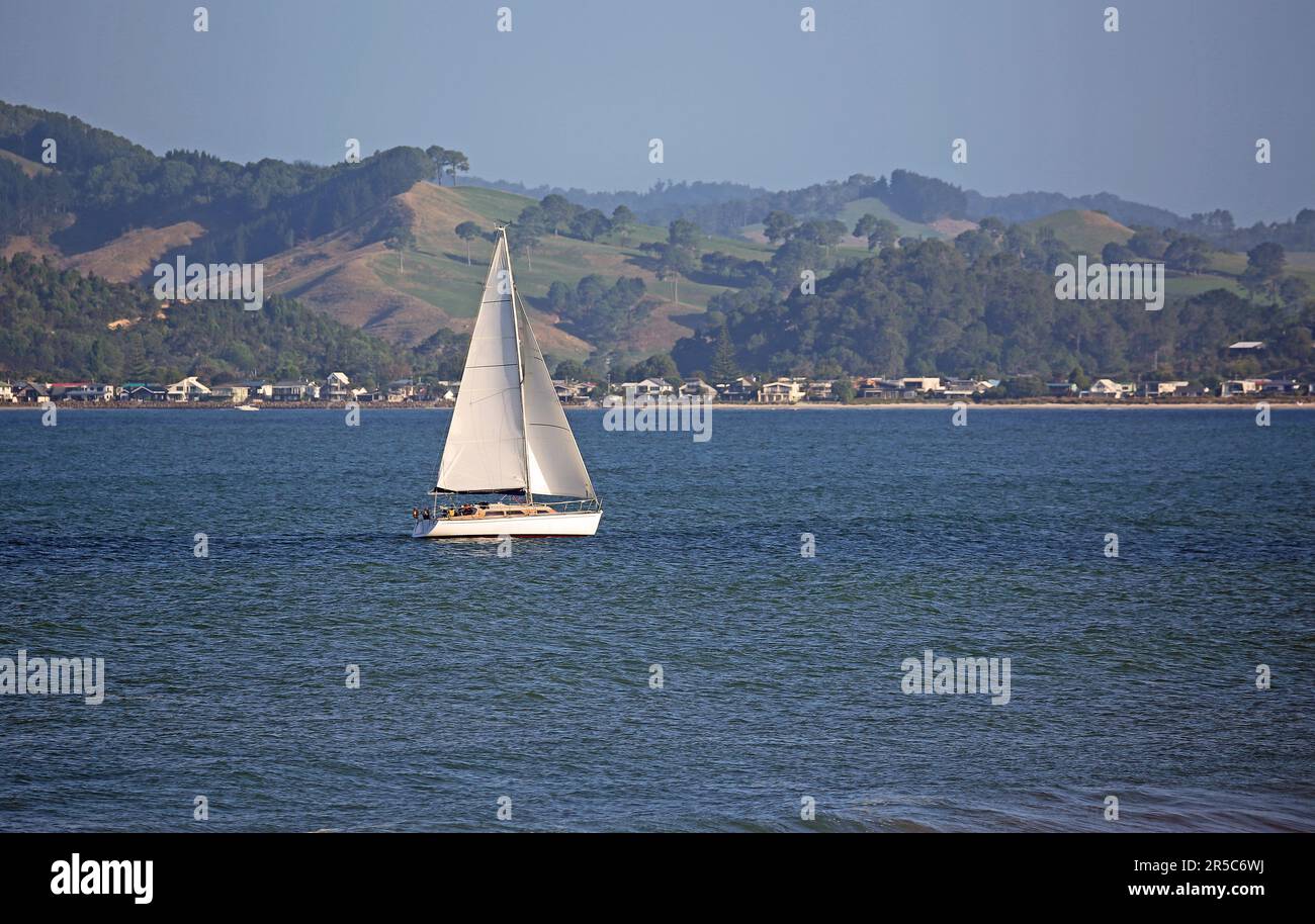 Sailboat in Mercury Bay, Mew Zealand Stock Photo