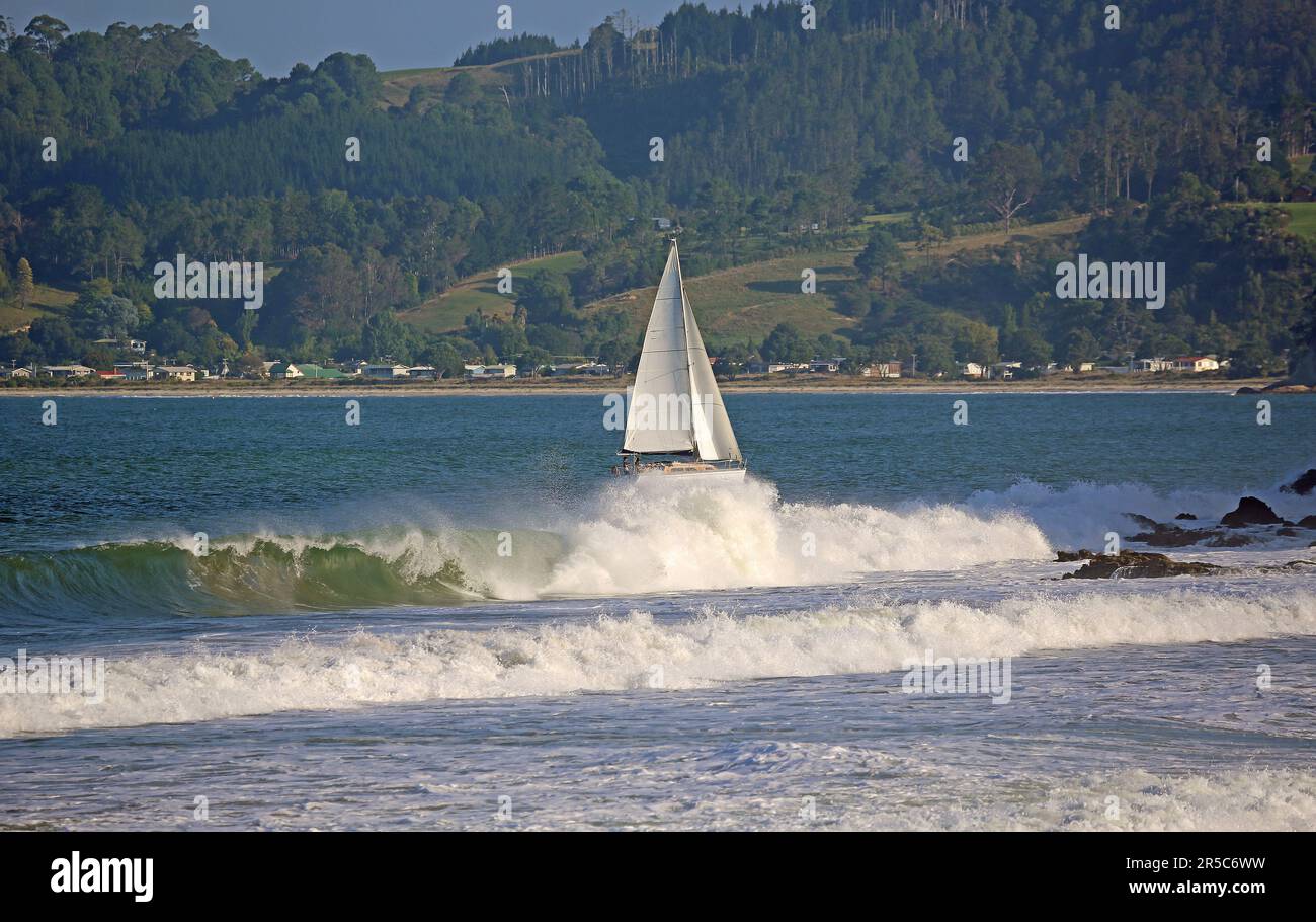 Sailing Mercury Bay, Mew Zealand Stock Photo