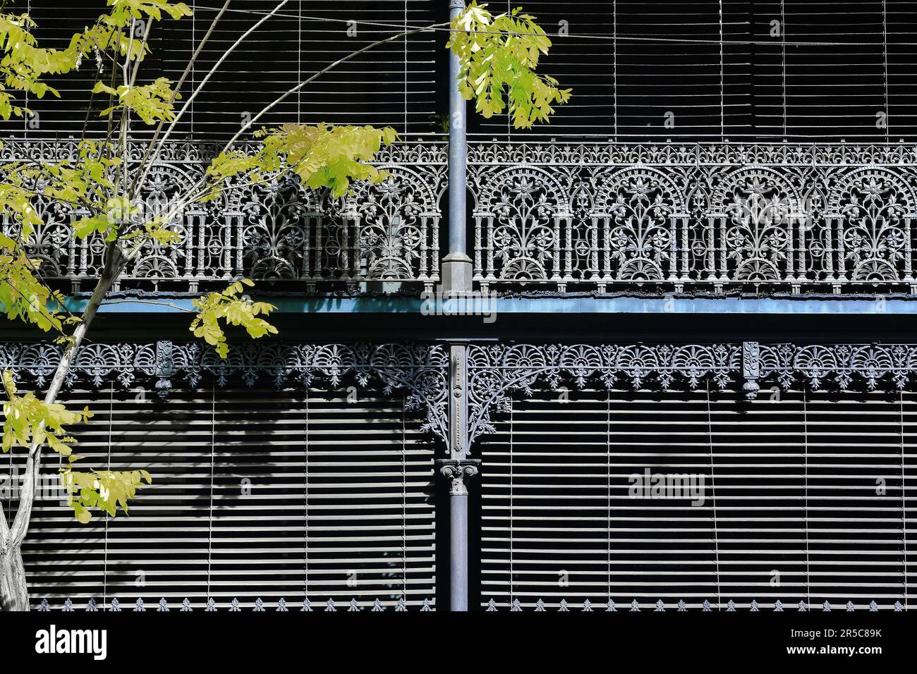 679 Victorian Filigree style verandahs with cast iron screens on Barcom Avenue, Darlinghurst suburb . Sydney-Australia. Stock Photo