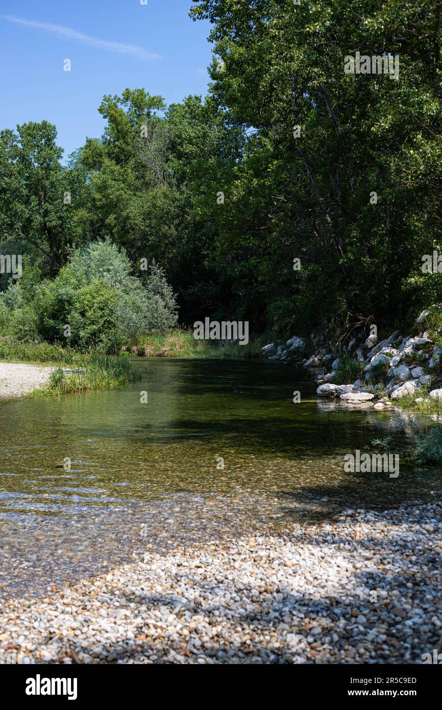 Landscape with clear little stream and trees in Parco del Ticino, Italy. Vertical shot. Stock Photo