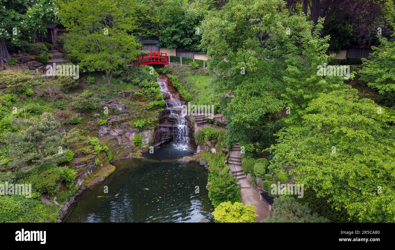 Amazing  aerial view in   Japanese garden  in Kaiserslautern and red maple trees . Late May  in Palatine Rhine land: red Japanese bridge and waterfall Stock Photo