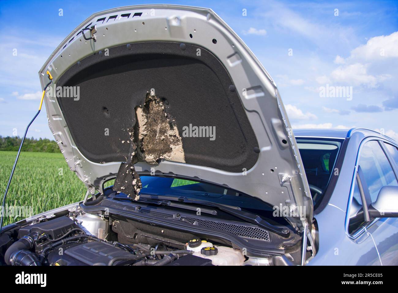 Marder car hi-res stock photography and images - Alamy