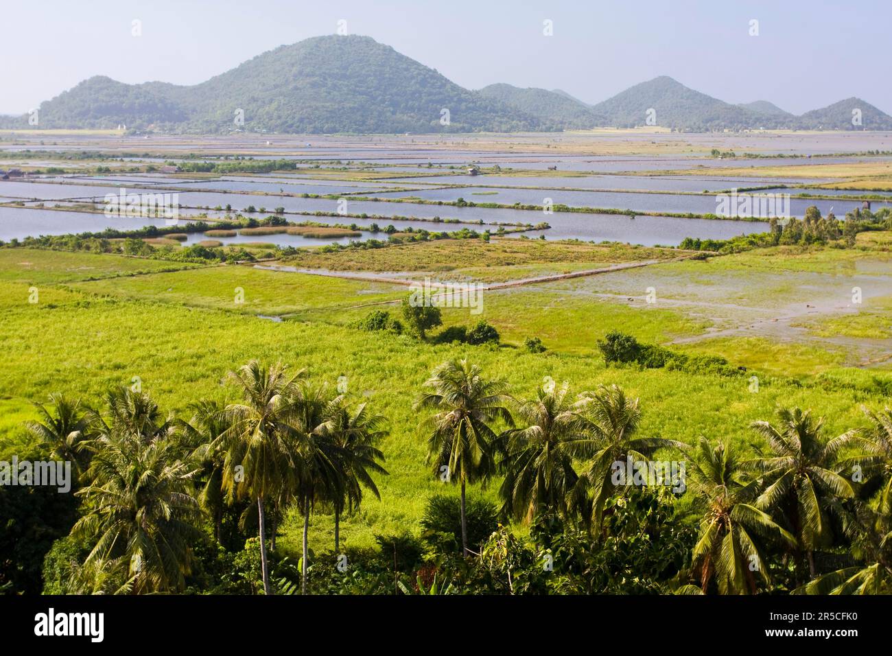 Fields, Can Tho, Mekong Delta, Vietnam Stock Photo Alamy