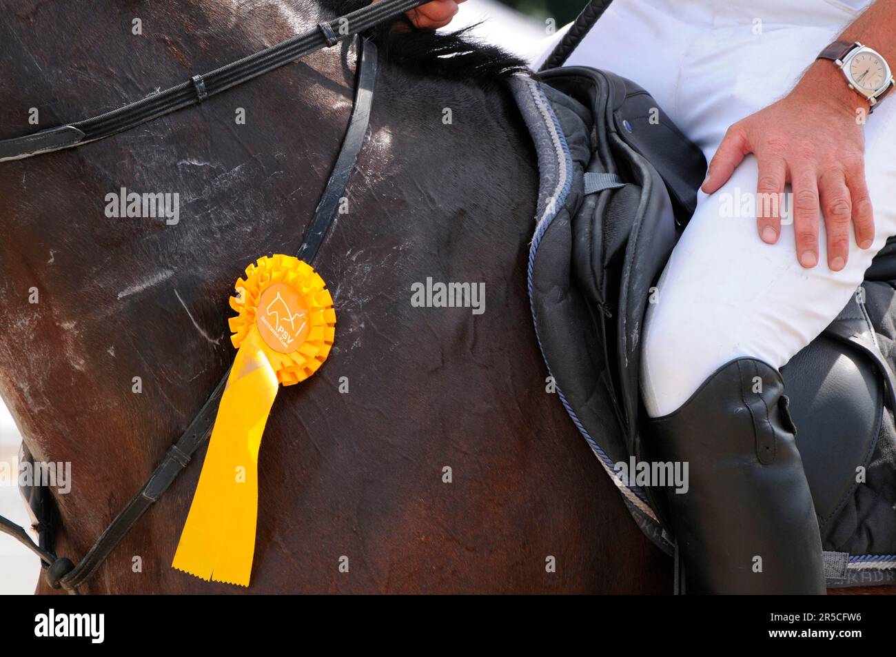 Horse Show, Winners Ribbon, Rosette Stock Photo