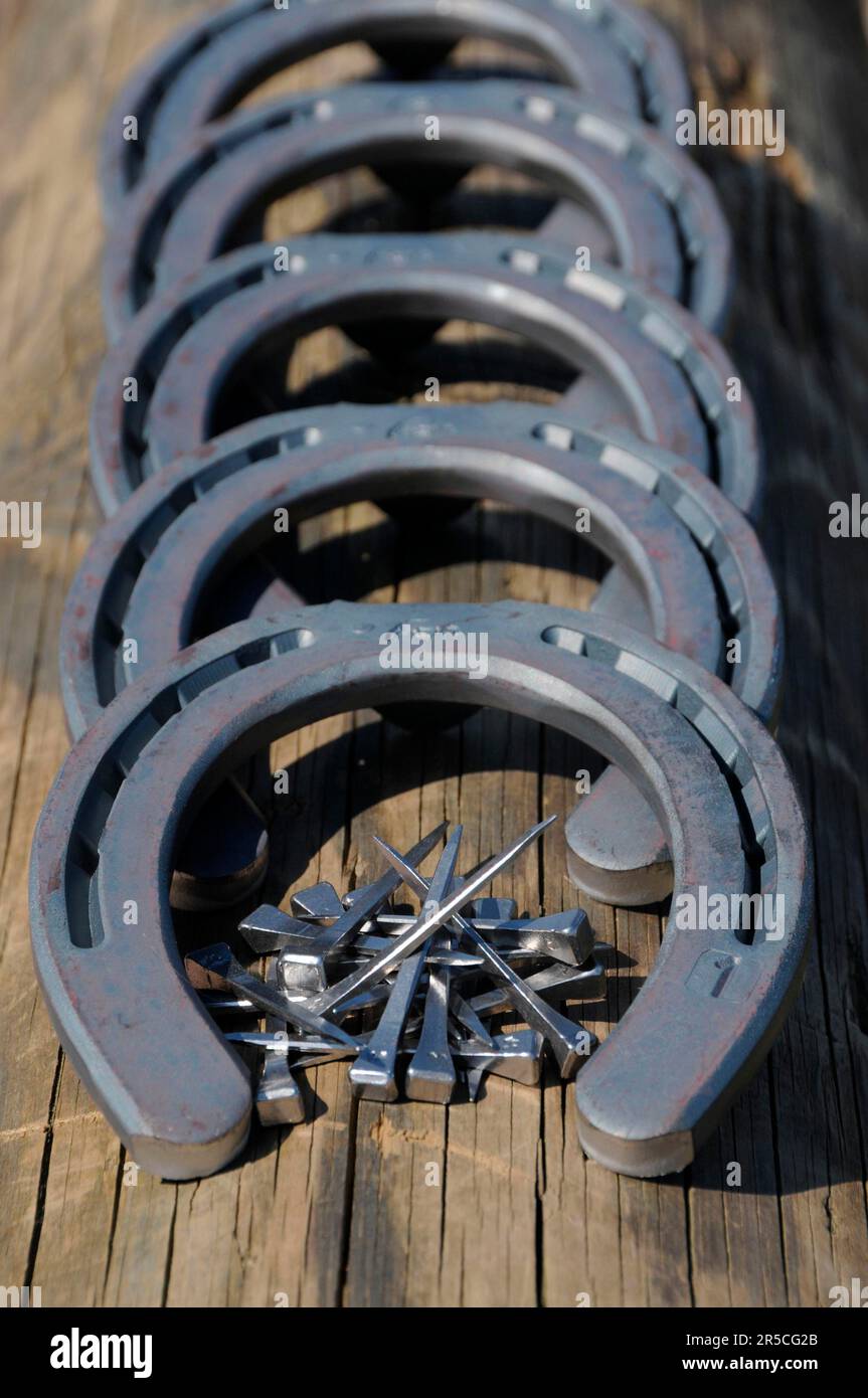 Horseshoes and horseshoe nails, blacksmith, farrier, shoeing, horseshoe