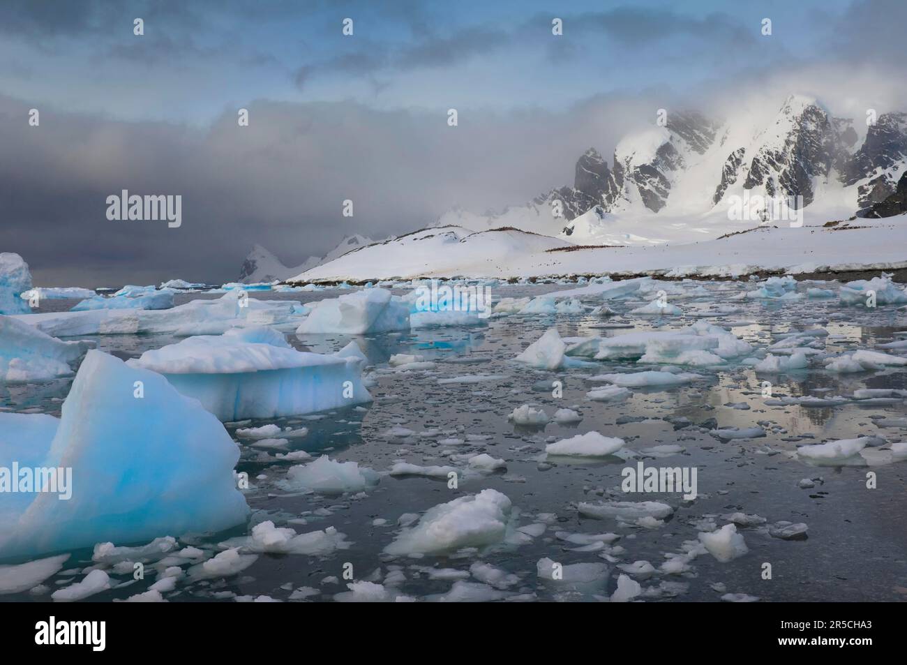 Cuverville island antarctica sea hi res stock photography and images Cuverville island antarctica sea hi res stock photography and images