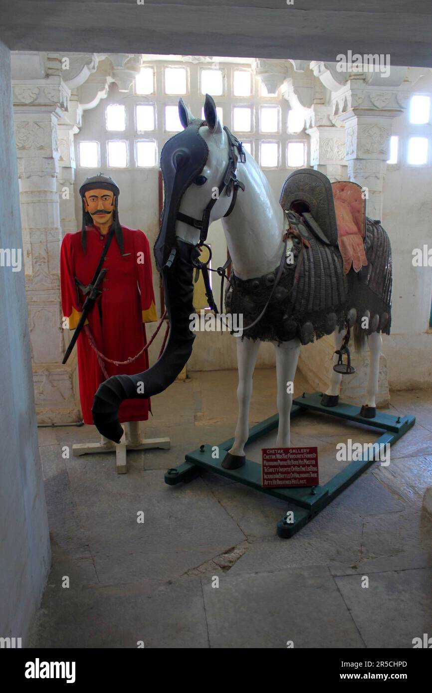 Chetak Horse History