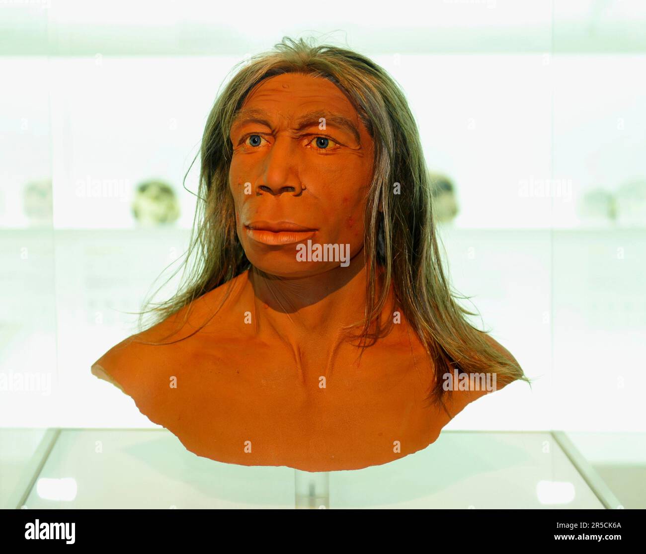 Modell, subject, mockup, Neandertal, Natural History Museum of Basel