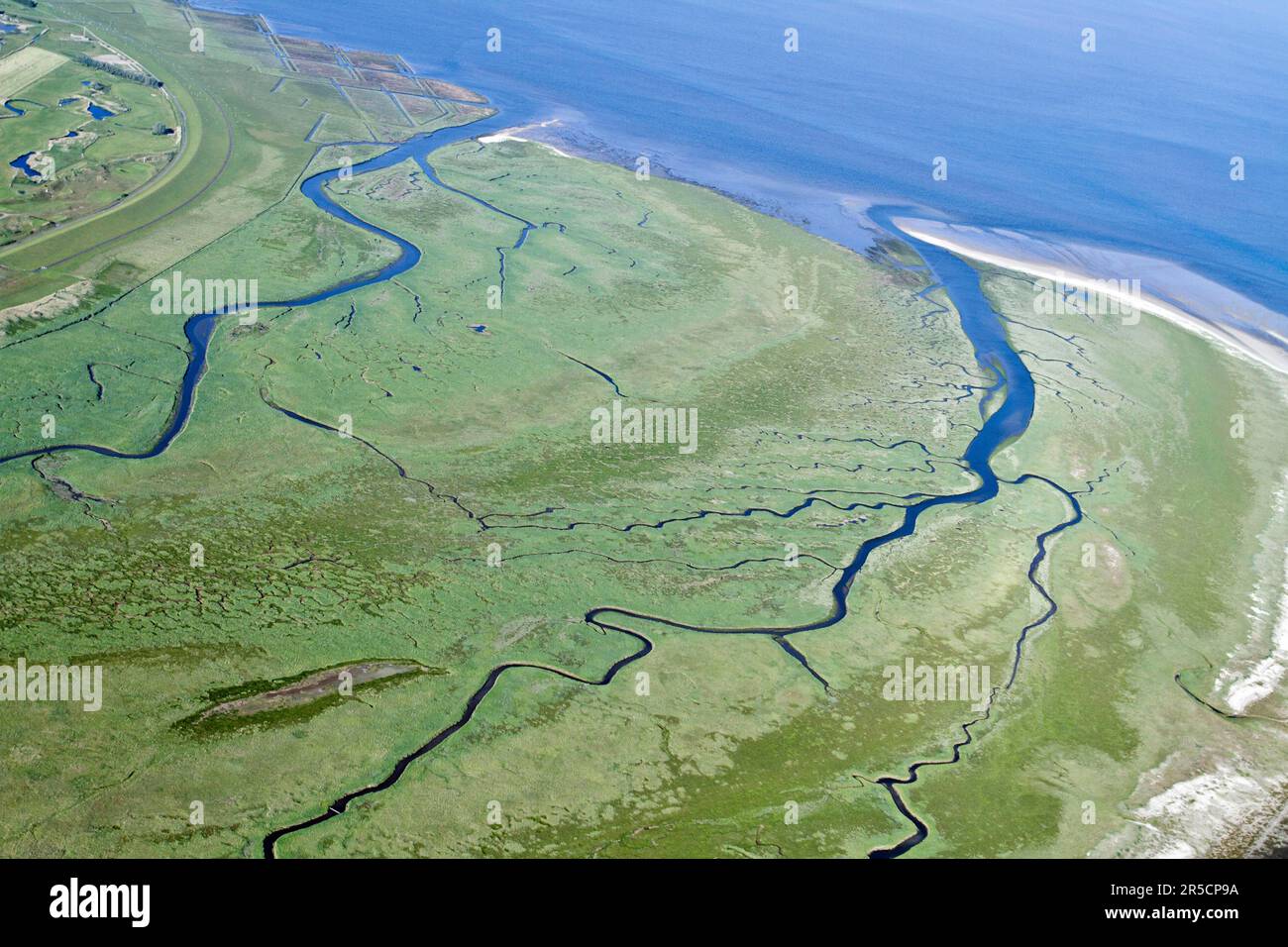 Salt marshes, salt marsh, green shore, heat sand, North Sea coast