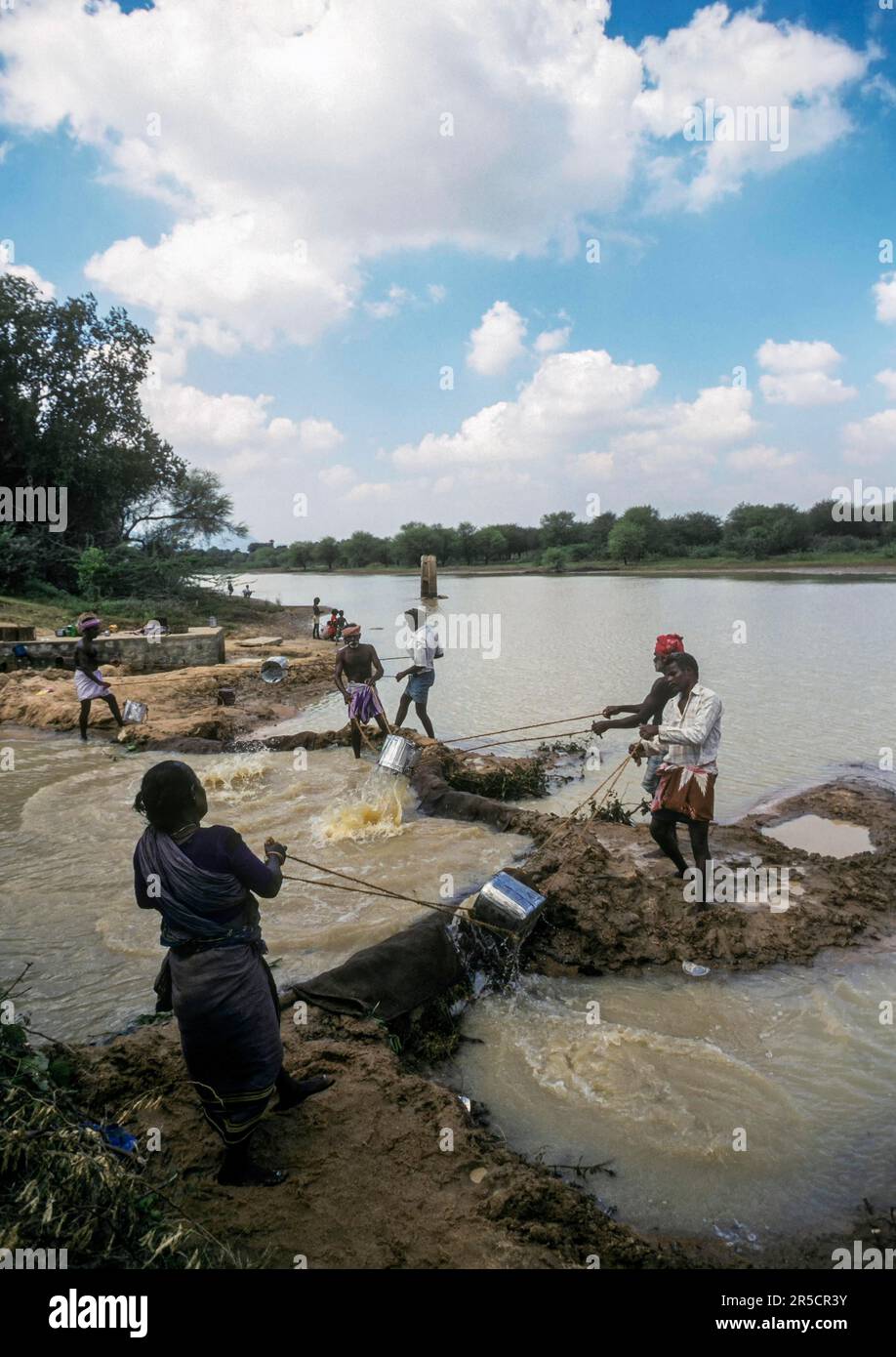 Traditional conventional irrigation from a tank with a tin, Tamil Nadu