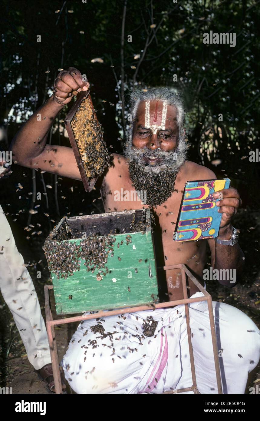 Man face covered bees hires stock photography and images Alamy