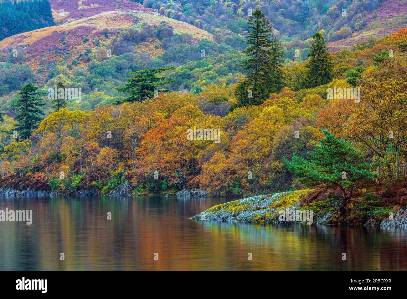 Autumn view, Loch Lomond, Scotland UK Stock Photo