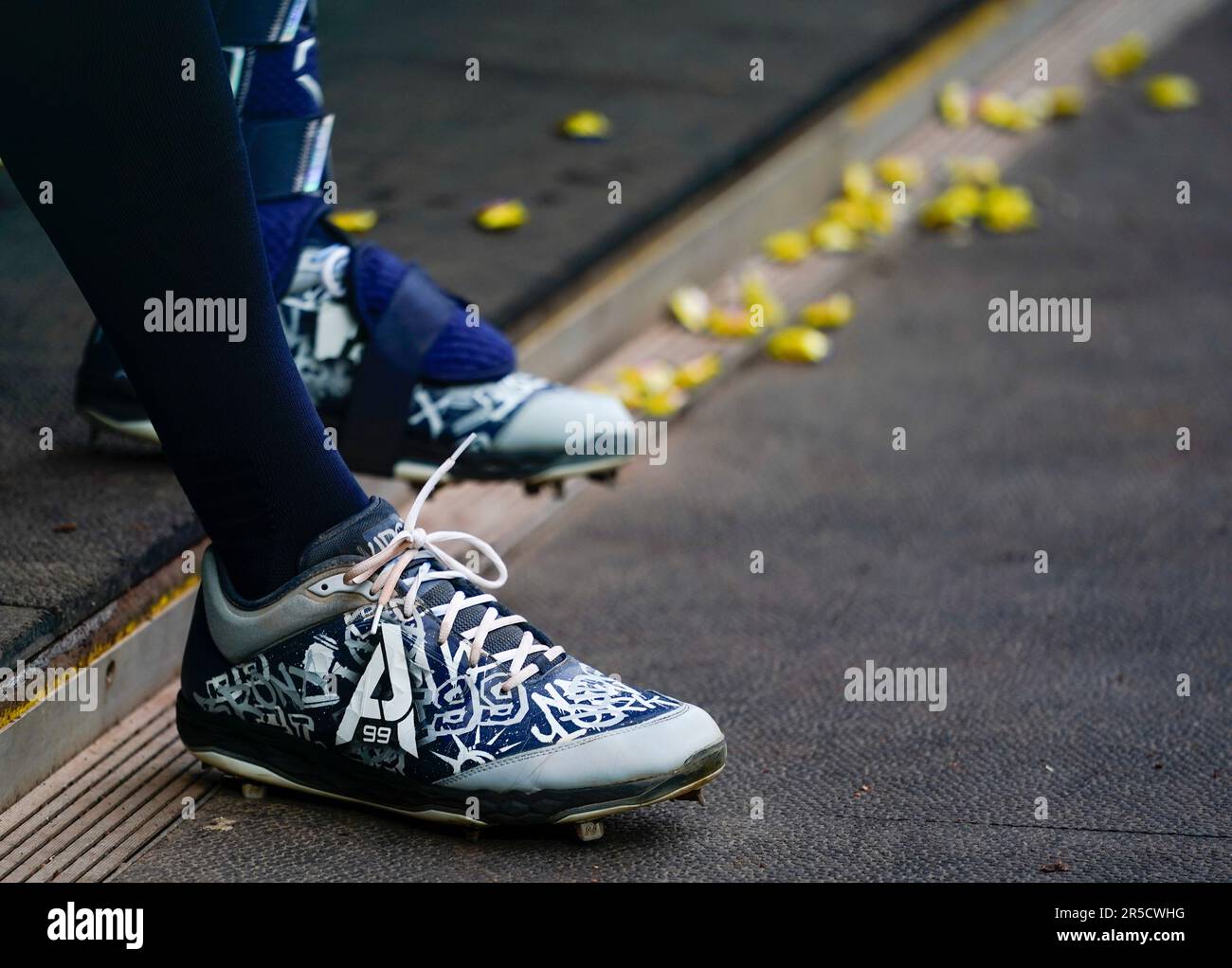 New York Yankees designated hitter Aaron Judge wears custom cleats in the  dugout before a baseball game against the Seattle Mariners, Wednesday, May  31, 2023, in Seattle. (AP Photo/Lindsey Wasson Stock Photo 