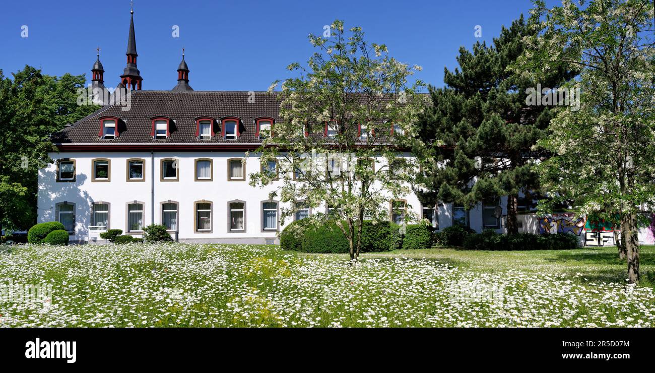 house of the st. heribert old people's home of caritas in cologne deutz in front of a blooming spring meadow Stock Photo