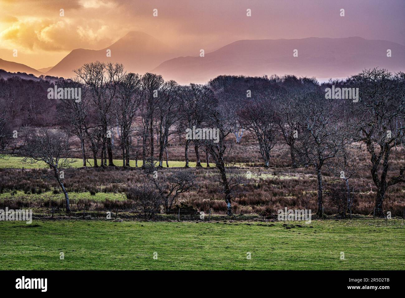 Drimnin estate with the Isle of Mull in the background Stock Photo