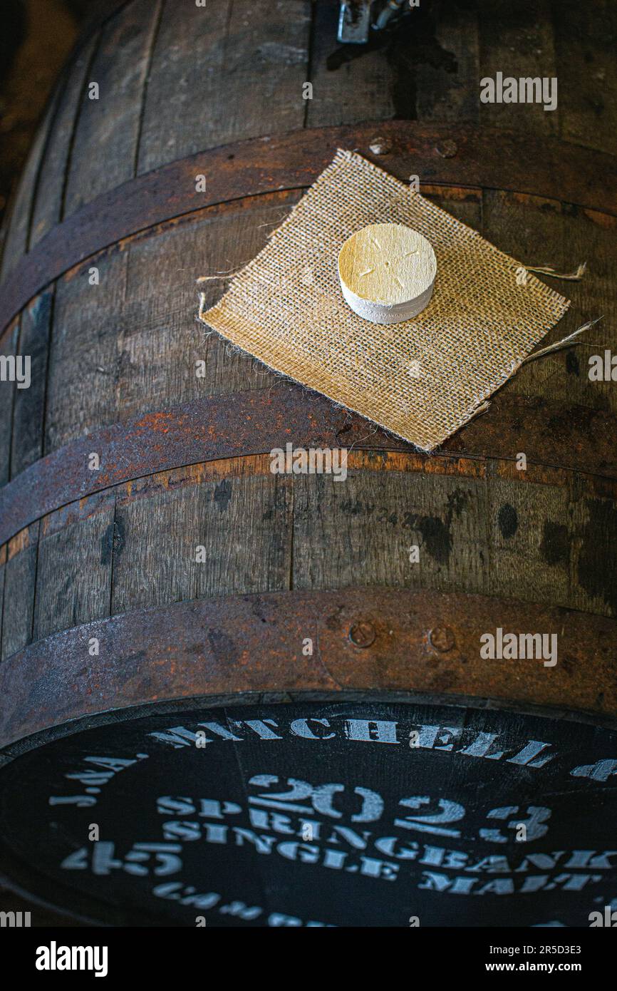 Whisky barrel, view of stopper and bunghole Stock Photo