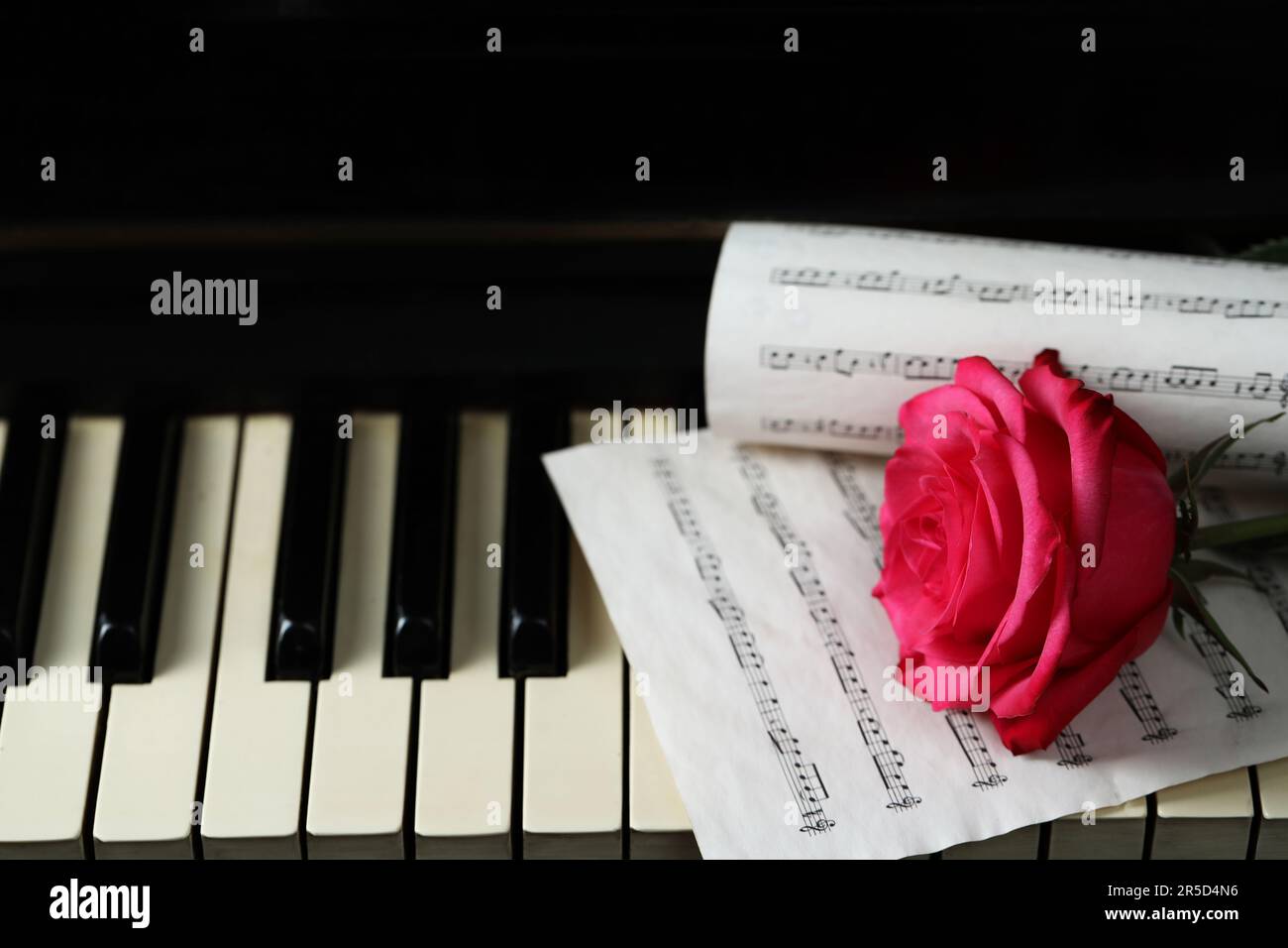 Pink Color Rose Note Beautiful pink rose and musical notes on piano keys Stock Photo - Alamy