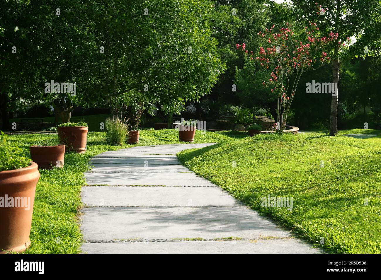 Beautiful view of green park with pathway on sunny day Stock Photo - Alamy