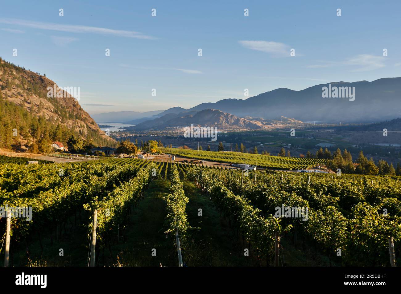 Winery and vineyard rows overlooking Skaha Lake located in Okanagan