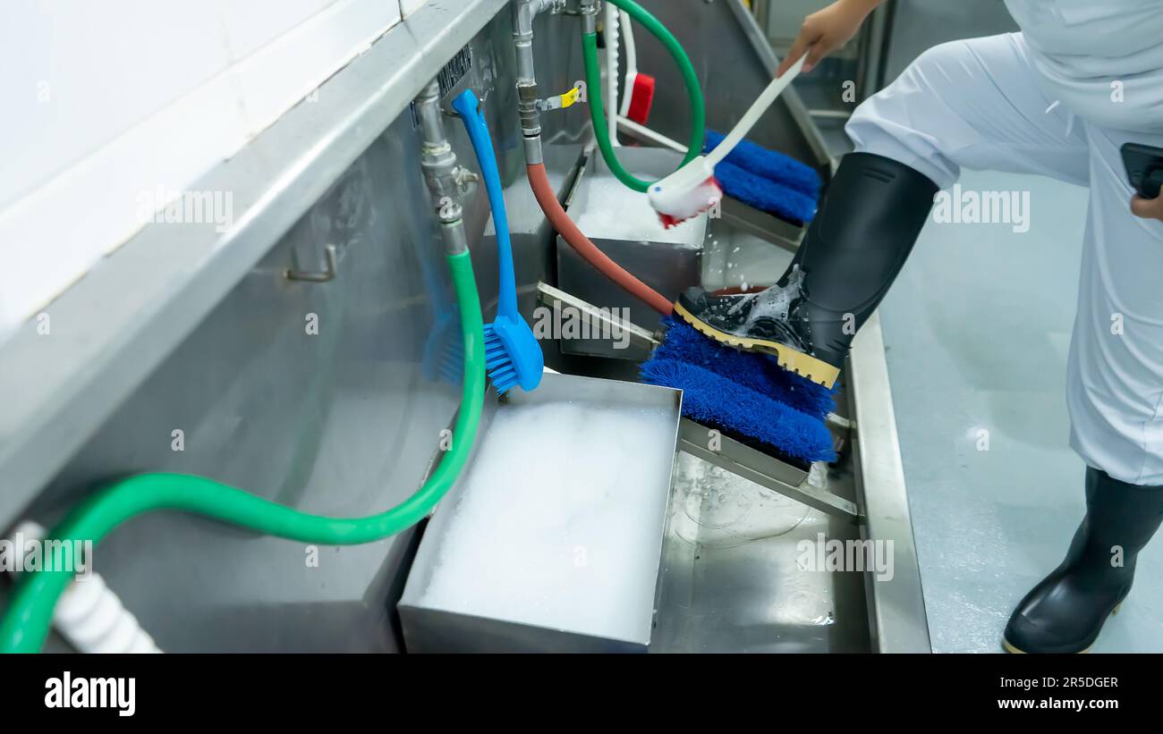 Plant employee sterilizing her rubber boots before starting work Stock Photo Alamy