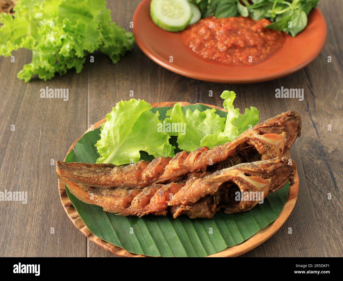 lele vogue men's tie flagship store