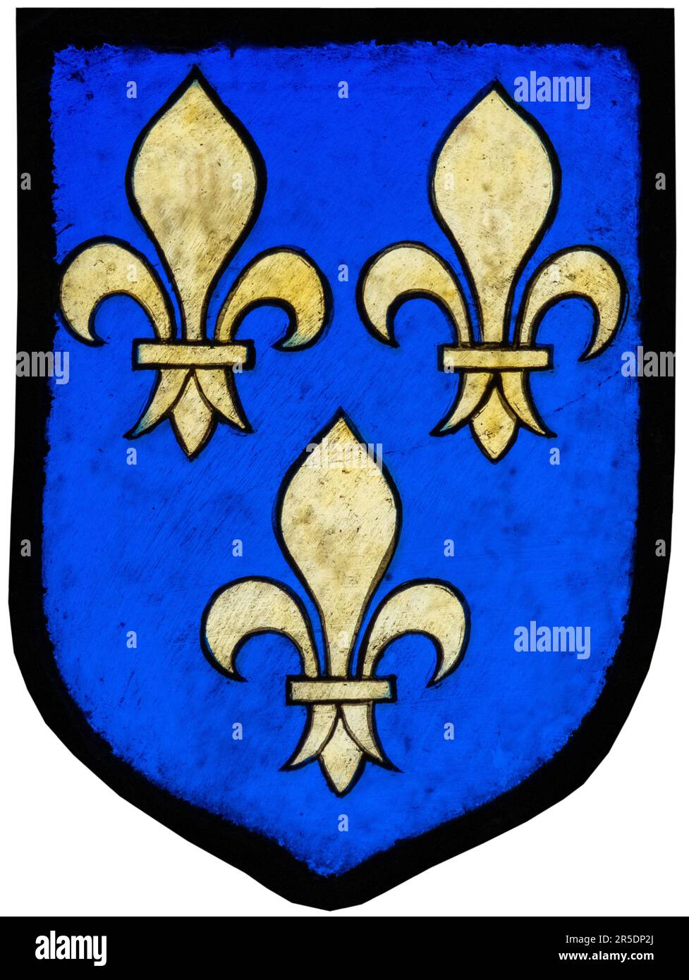 Kingdom of France French Coat of Arms with Fleurs de Lys Vintage