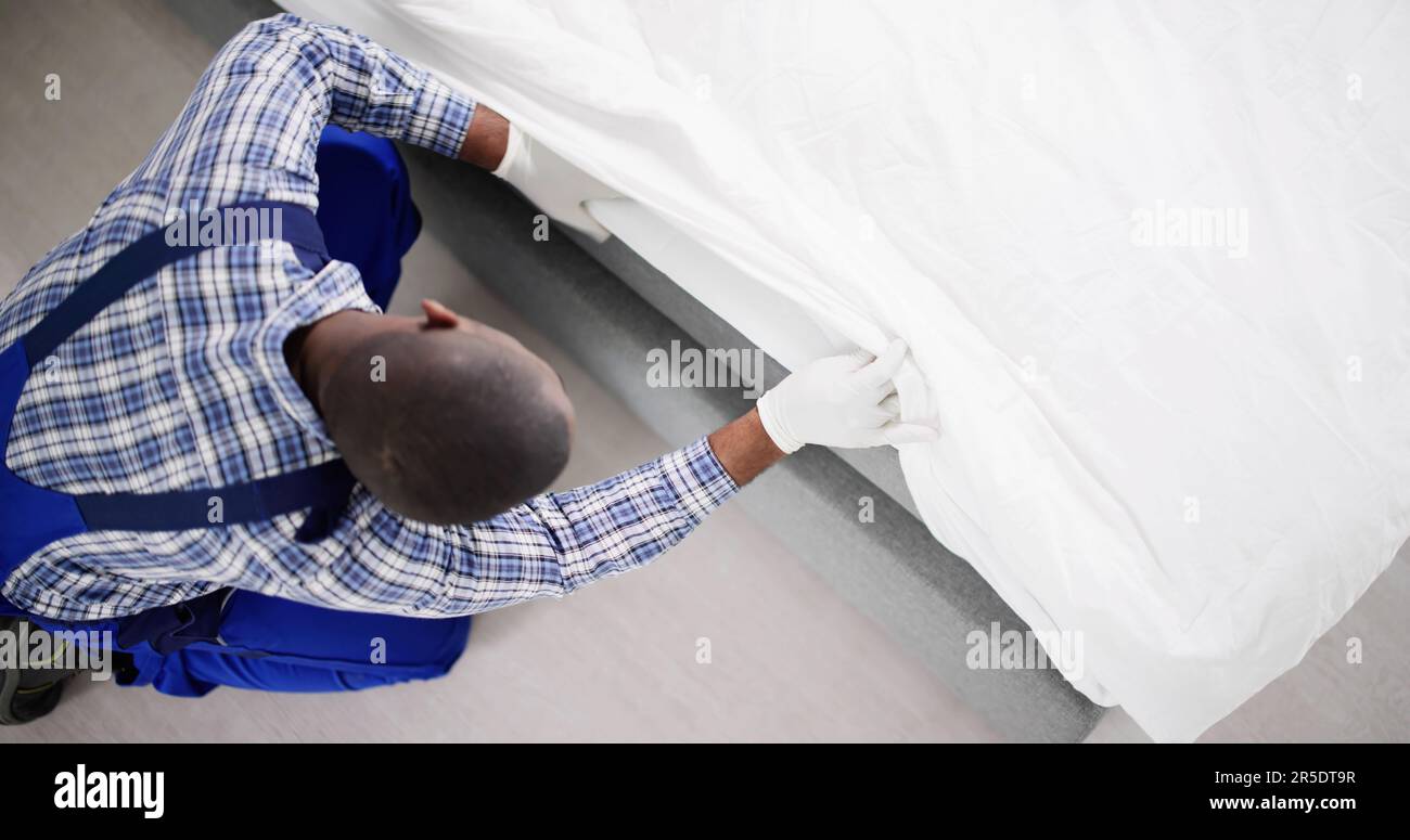 Bed Bug Infestation And Treatment Service. Bugs Extermination Stock