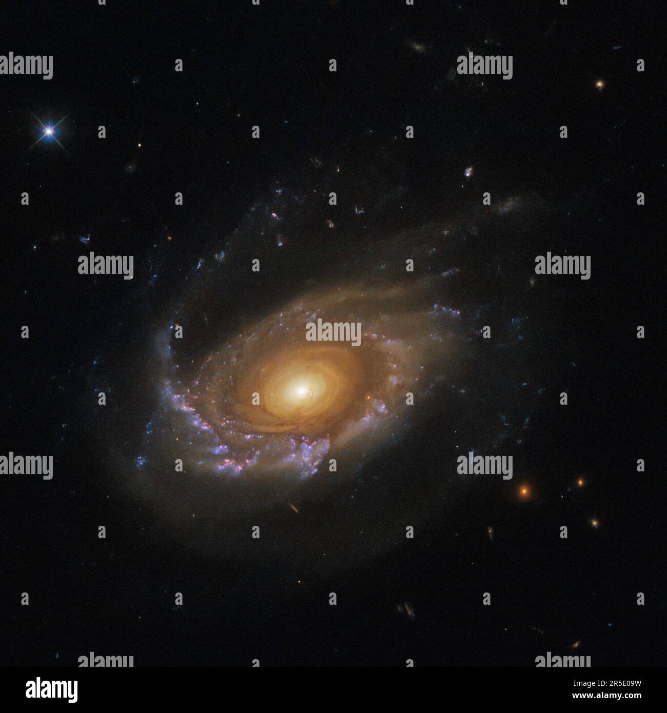 Space. 24th May, 2023. The jellyfish galaxy JW39 hangs serenely in this image from the NASA/ESA