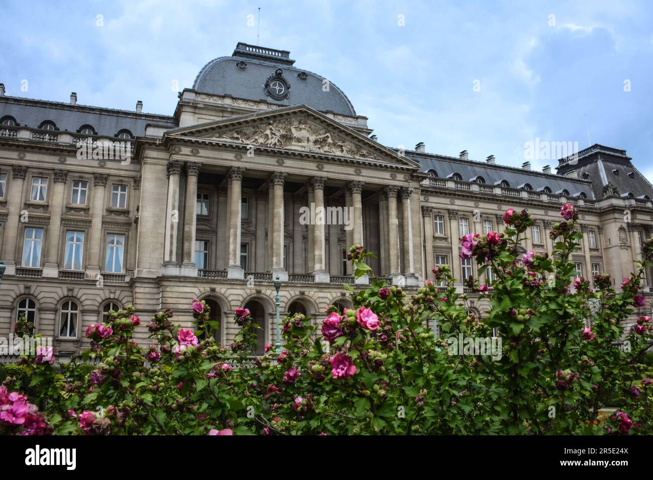 Pink Flowers and Brussels Royal Palace Belgium Stock Photo Alamy