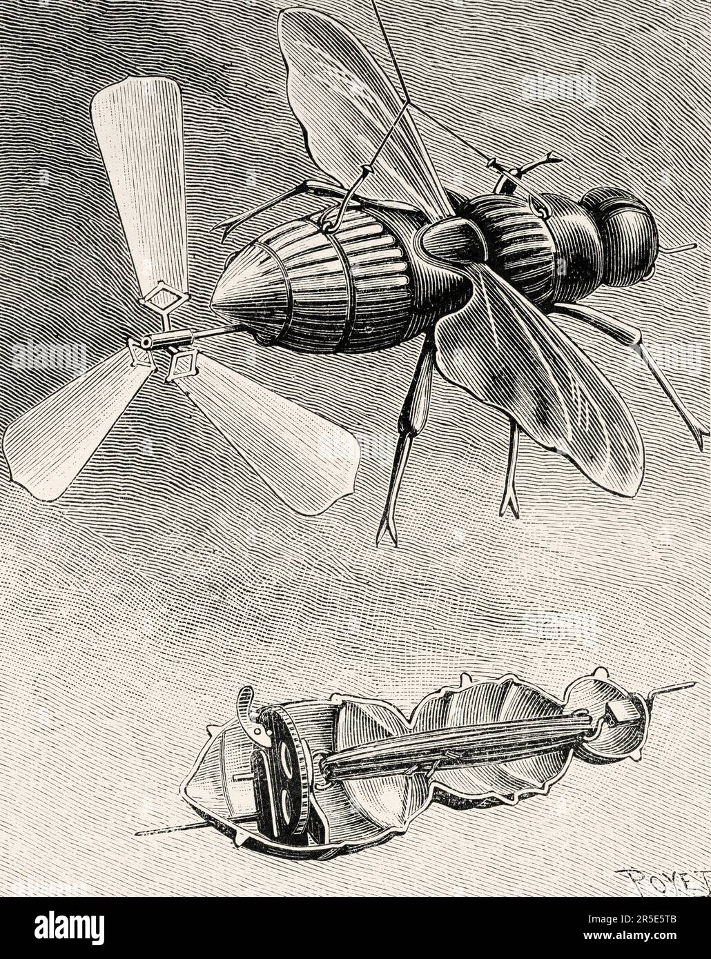 Mechanical propeller fly. Old 19th century engraving from La Nature 1887 Stock Photo Alamy