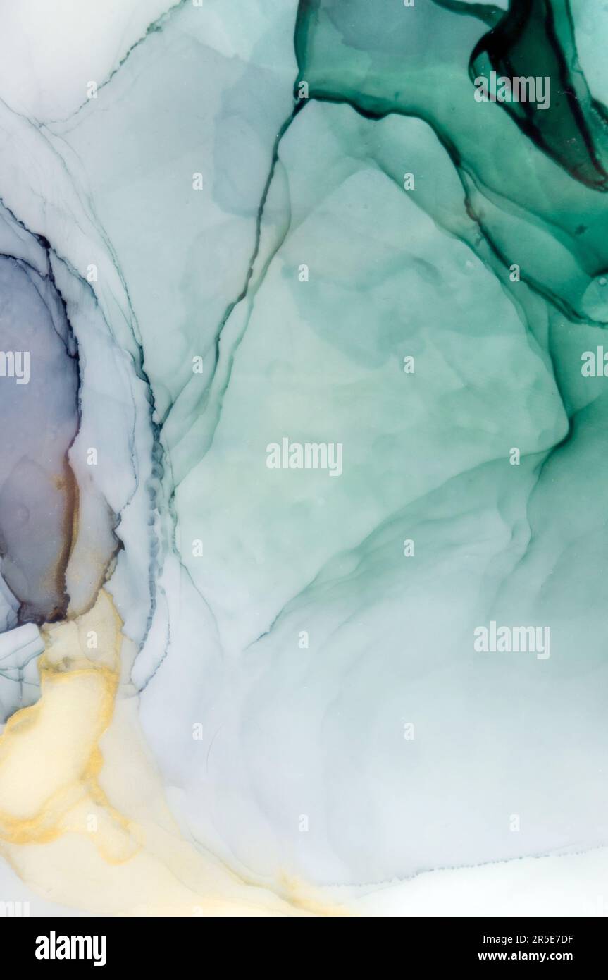 Translucent Inspo Transparent creativity, Ink colors are amazingly bright, luminous ...