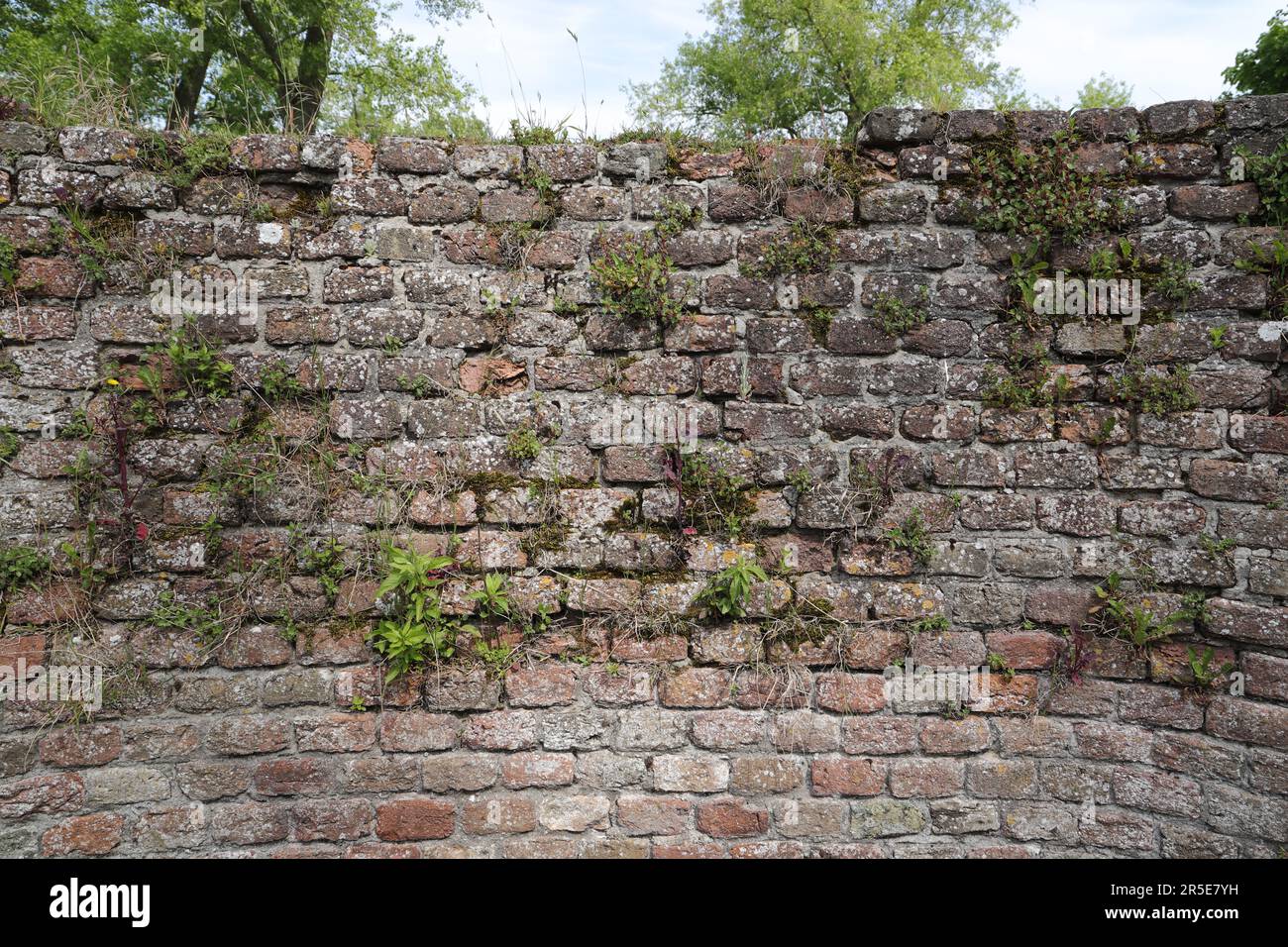 stone wall made of bricks Stock Photo
