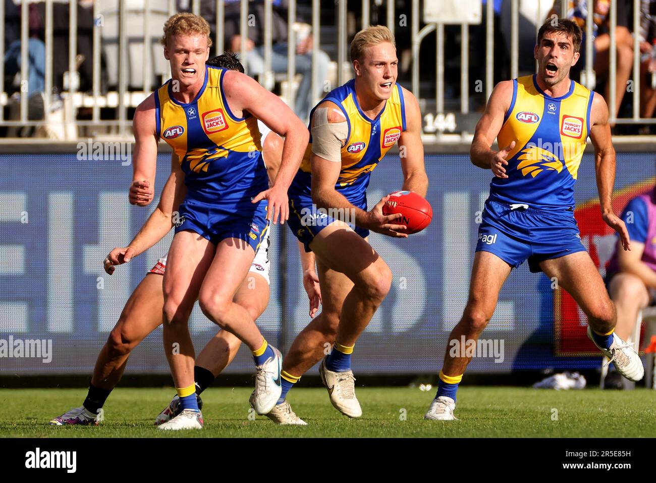 AFL 2023 Round 12 - West Coast v Collingwood