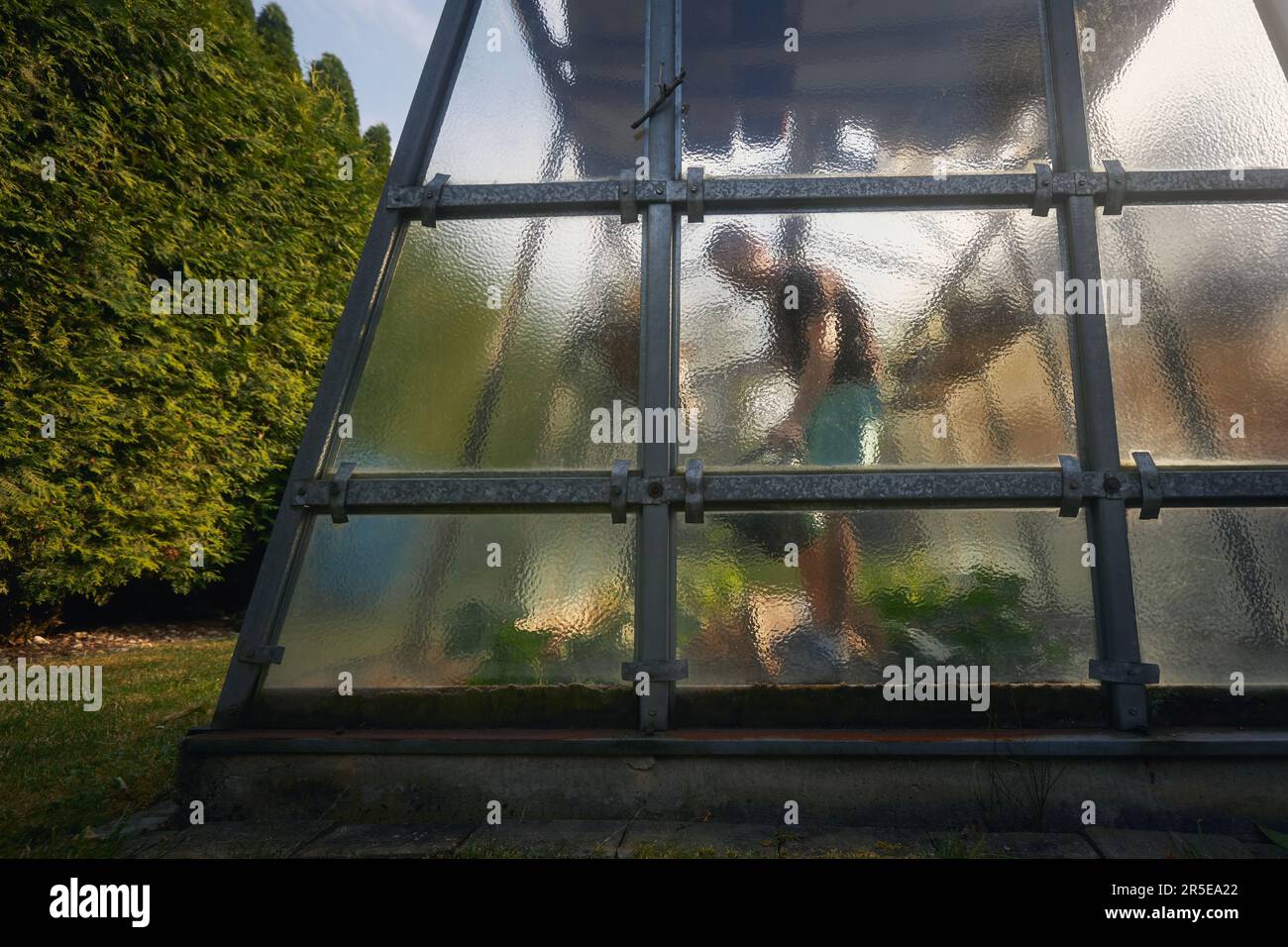 Selective focus on glass wall of greenhouse on back yard during spring day. Man working in vegetable garden. Stock Photo