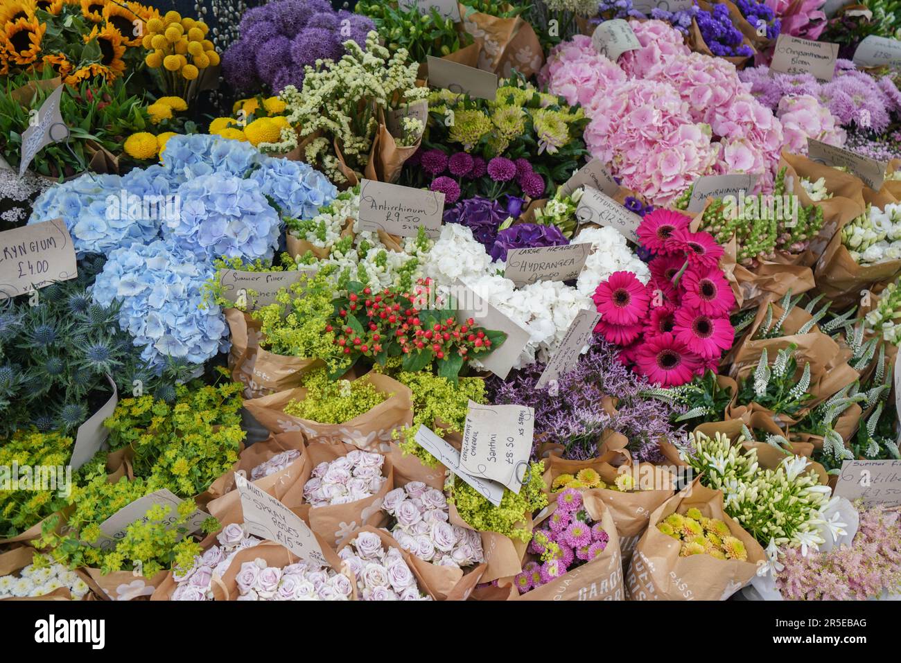 A variety of  flowers for sale at an outdoor market in Wimbledon, London, UK Stock Photo