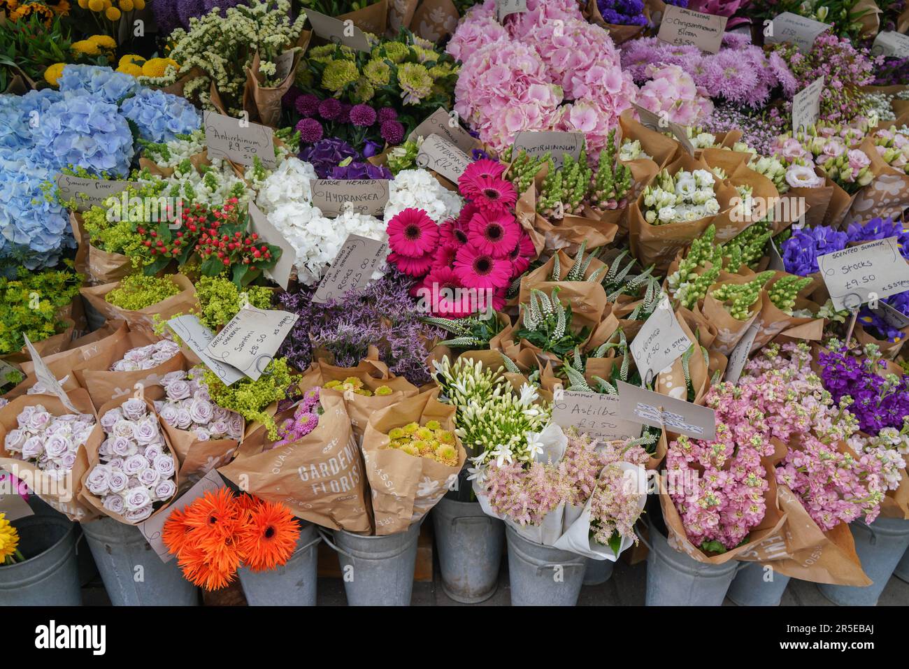 A variety of  flowers for sale at an outdoor market in Wimbledon, London, UK Stock Photo