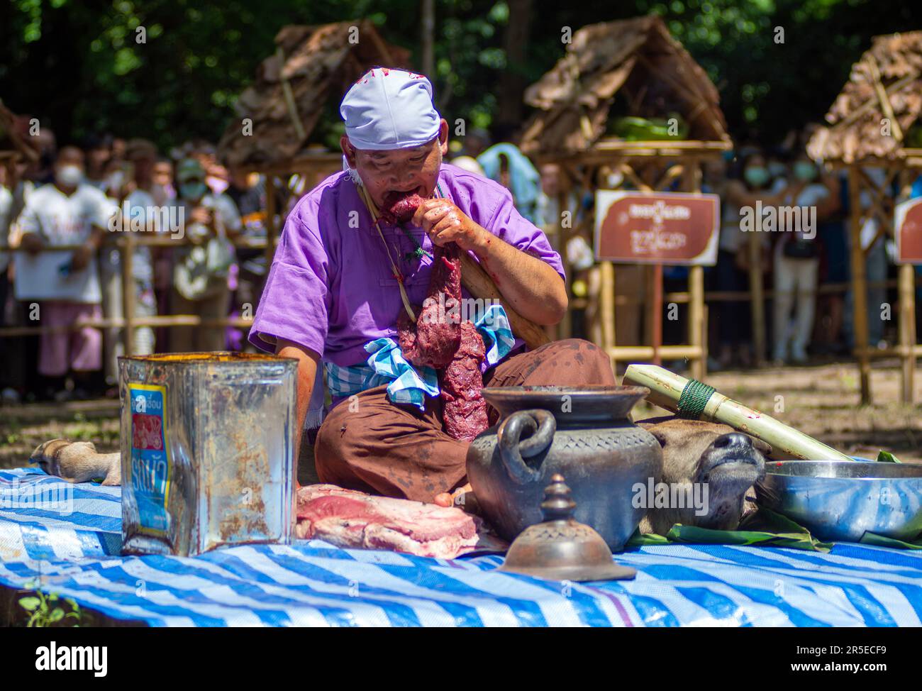 A Thai man involves ' medium ' eats raw buffalo meat during the Pu Sae ...