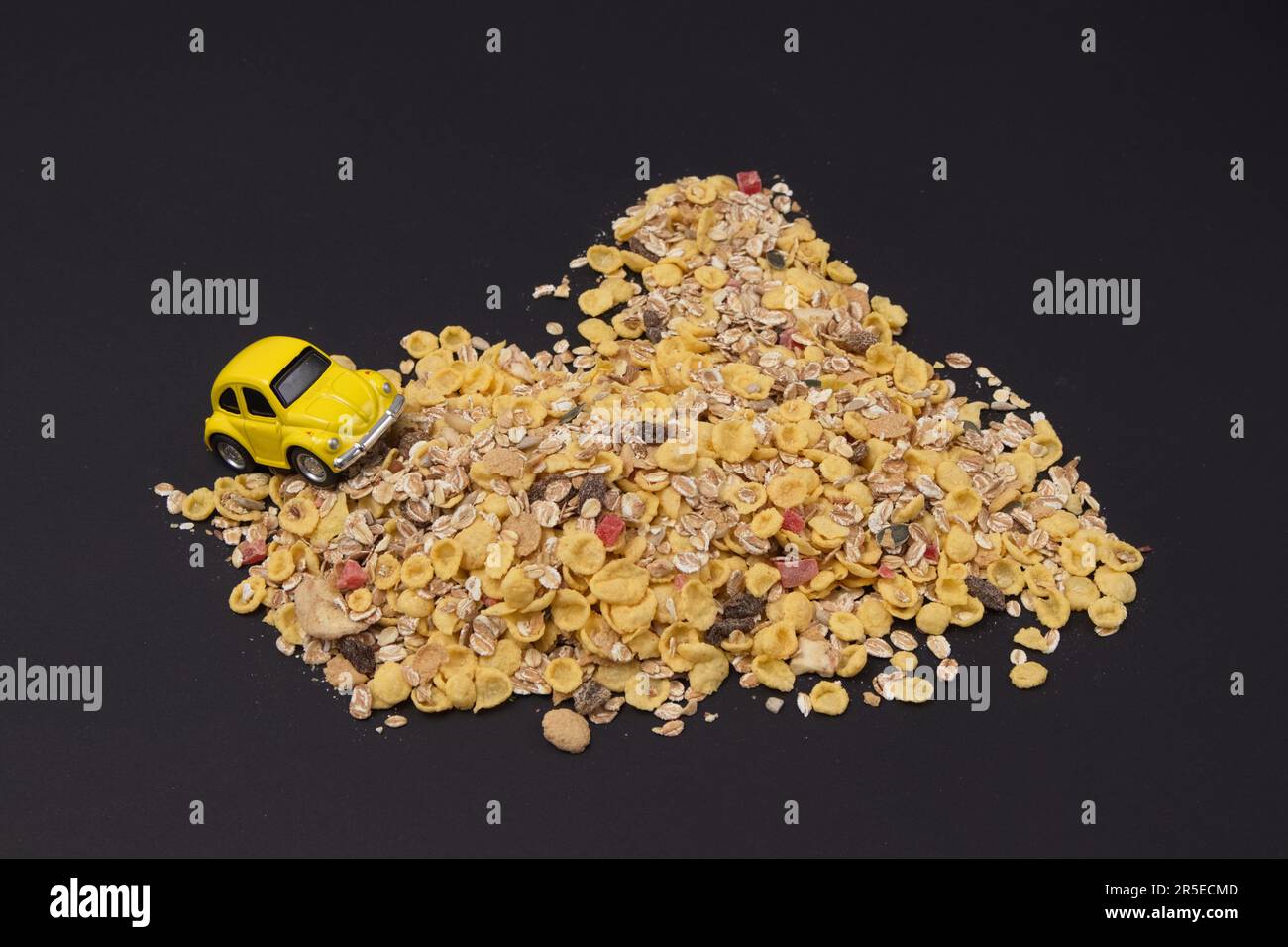 Yellow Beetle climbs a mountain of cornflakes on a black background. Minimal life style concept. Stock Photo
