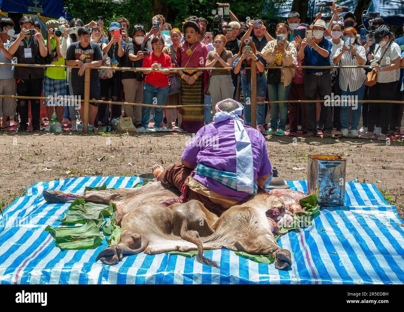 Visitors take photos during the Pu Sae Ya Sae festival in Chiang Mai ...