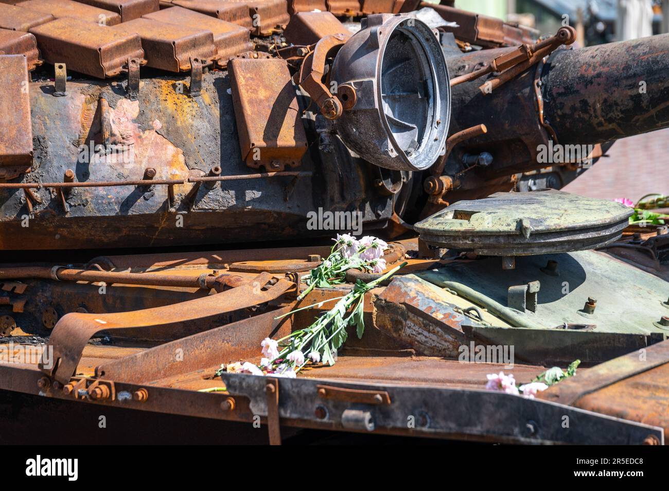 Flowers on a wrecked tank Stock Photo
