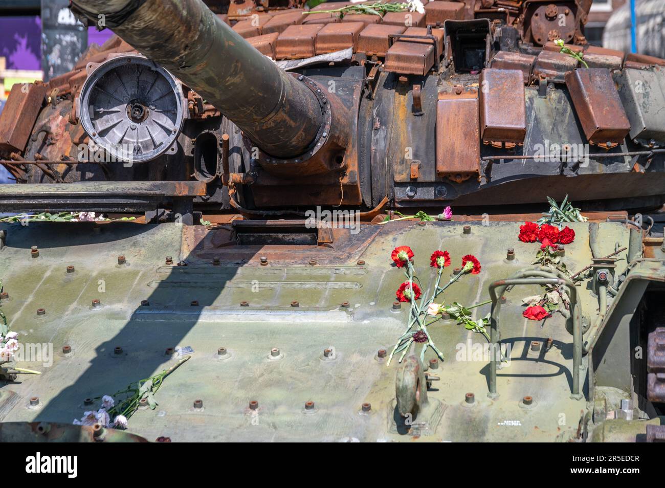 Flowers on a wrecked tank Stock Photo
