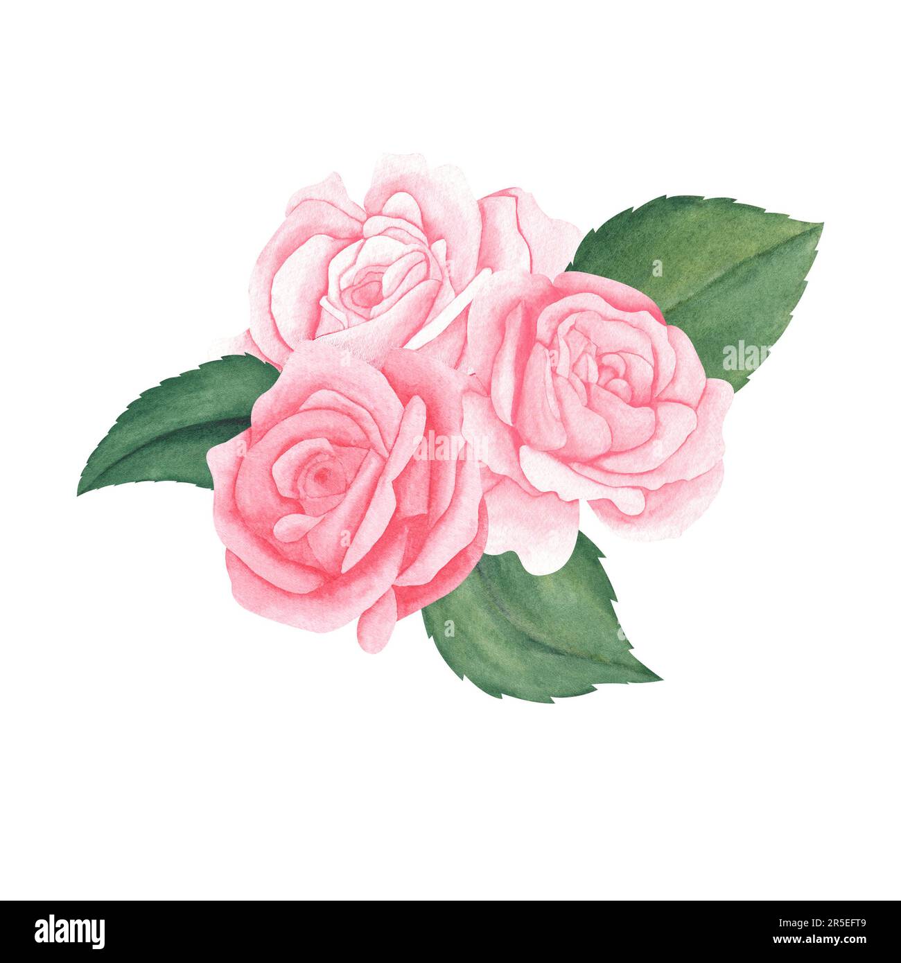 beautiful watercolor bouquet with pink peach pastel roses and leaves ...