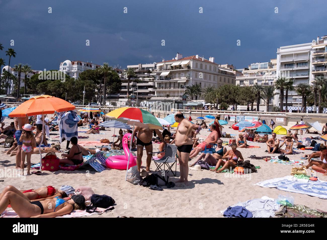 Strand of 10 christmas lights