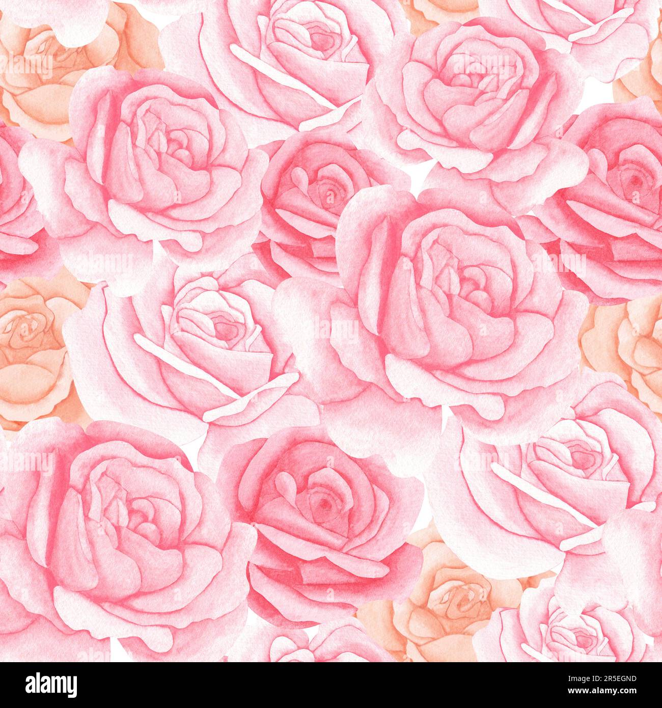 watercolor seamless pattern with pink peach pastel roses. Illustration ...
