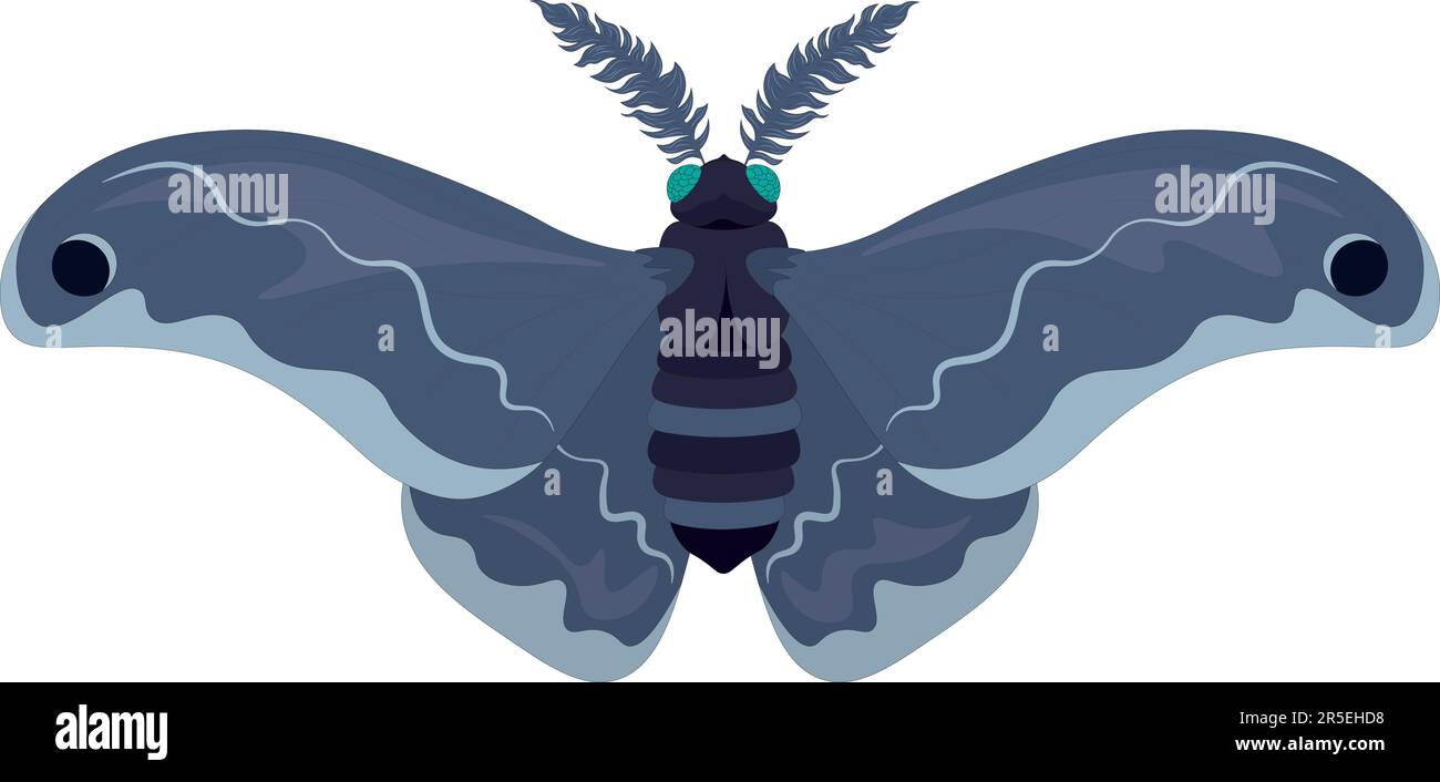 Aggregate 135+ silk moth drawing super hot seven.edu.vn