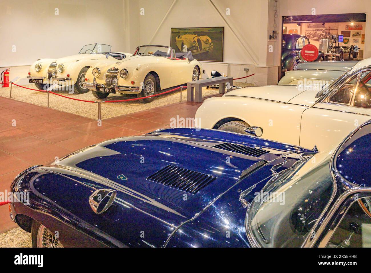 A selection of Jaguars at Haynes International Motor Museum, Sparkford, Somerset, UK Stock Photo